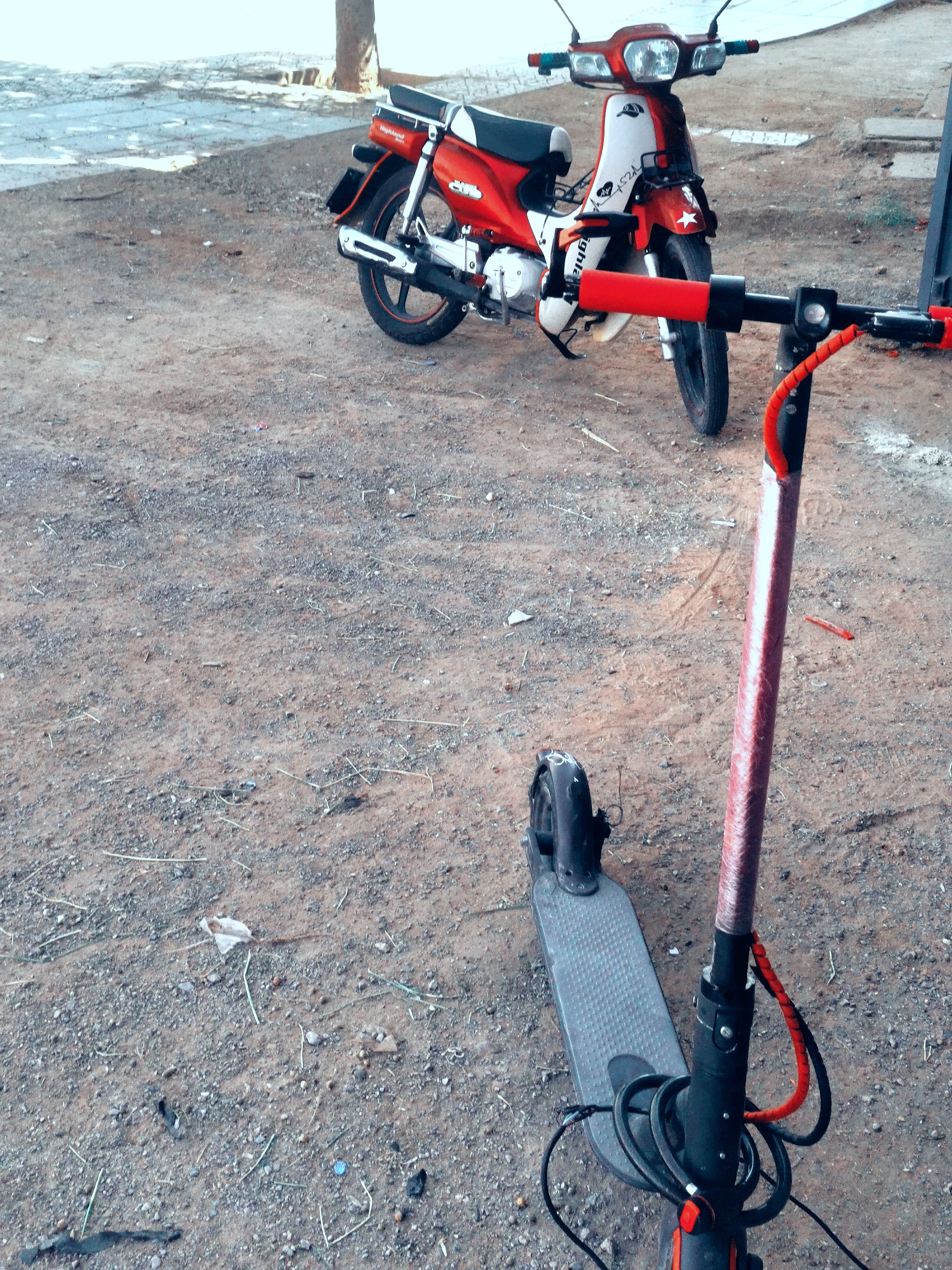 صورة إضافية