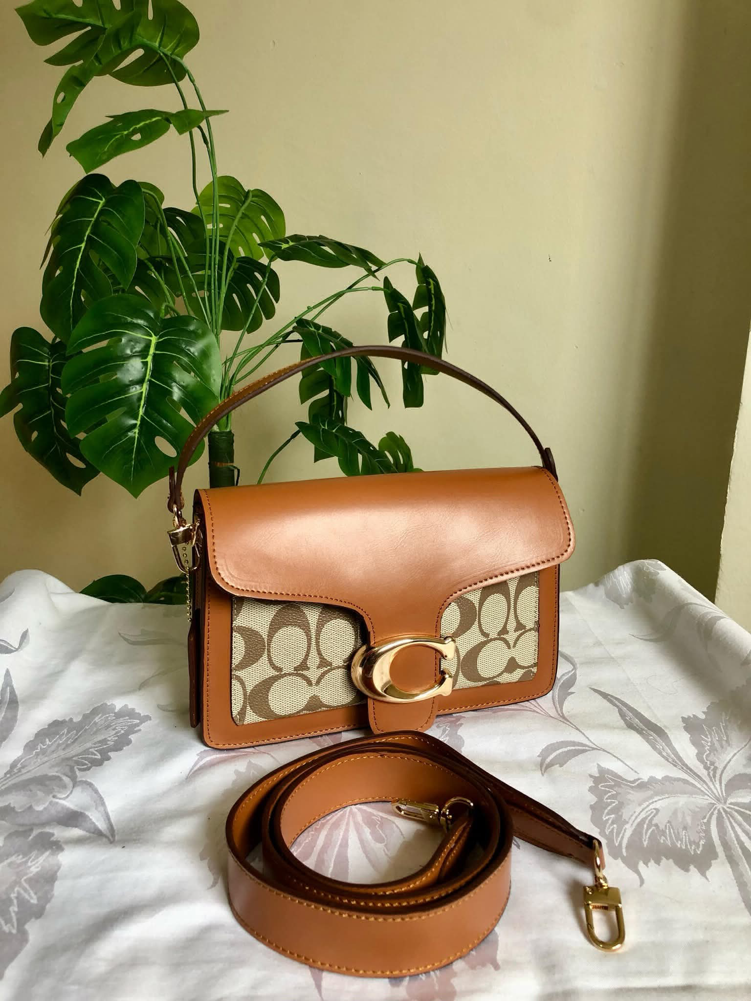 صورة إضافية